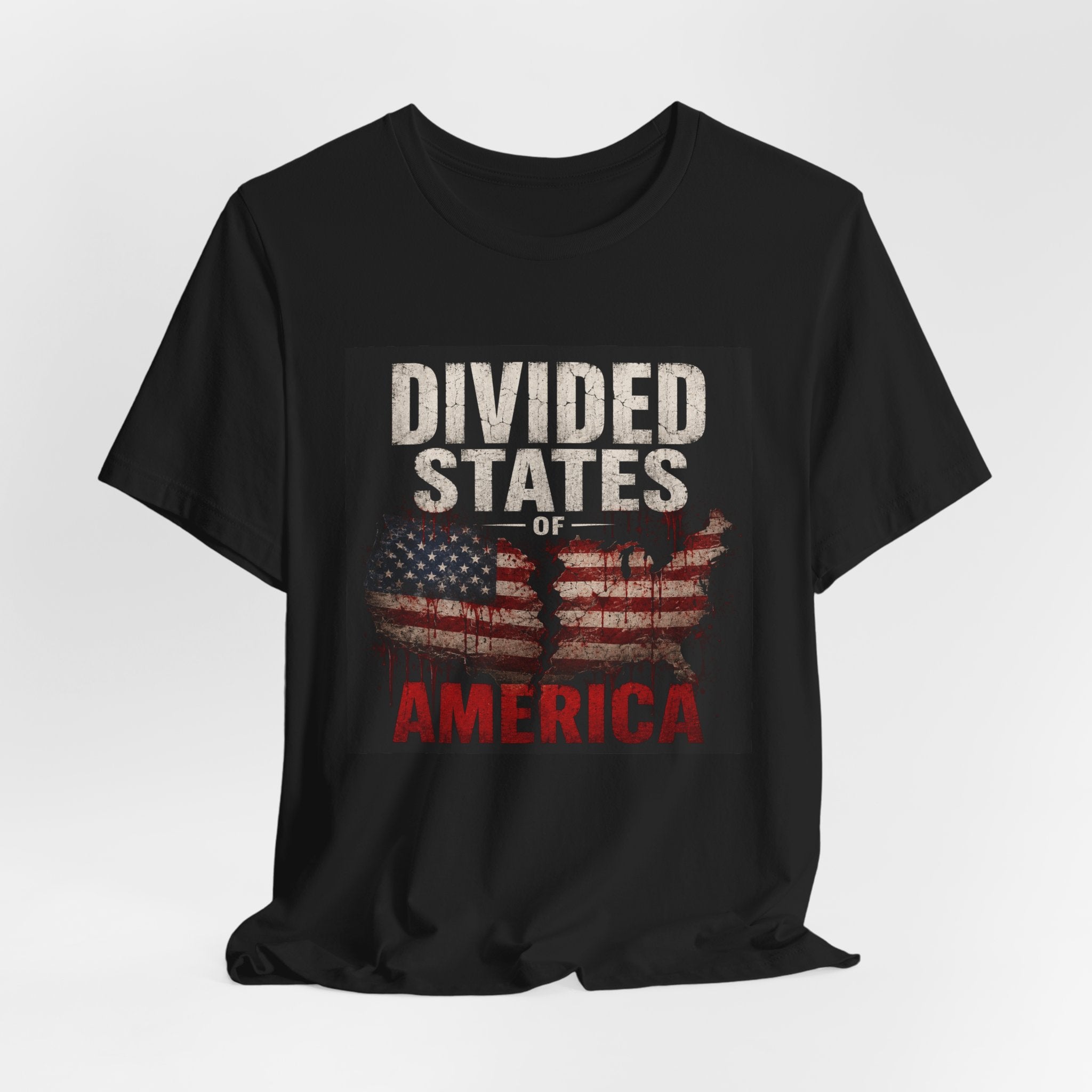 Divided States America Graphic Tee — Political Statement T-Shirt