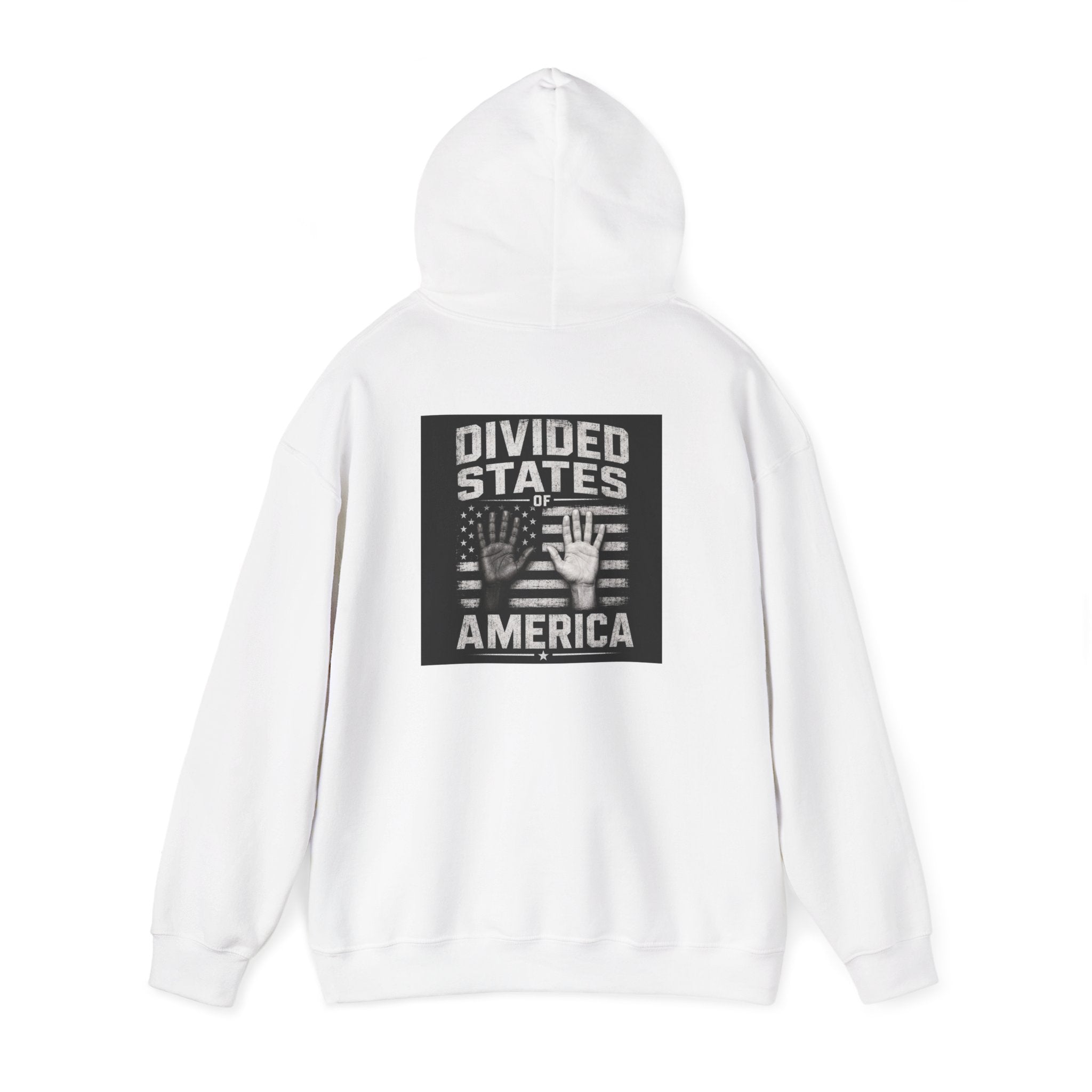 DSA Hoodie — Divided States of America Protest Graphic Hooded Sweatshirt