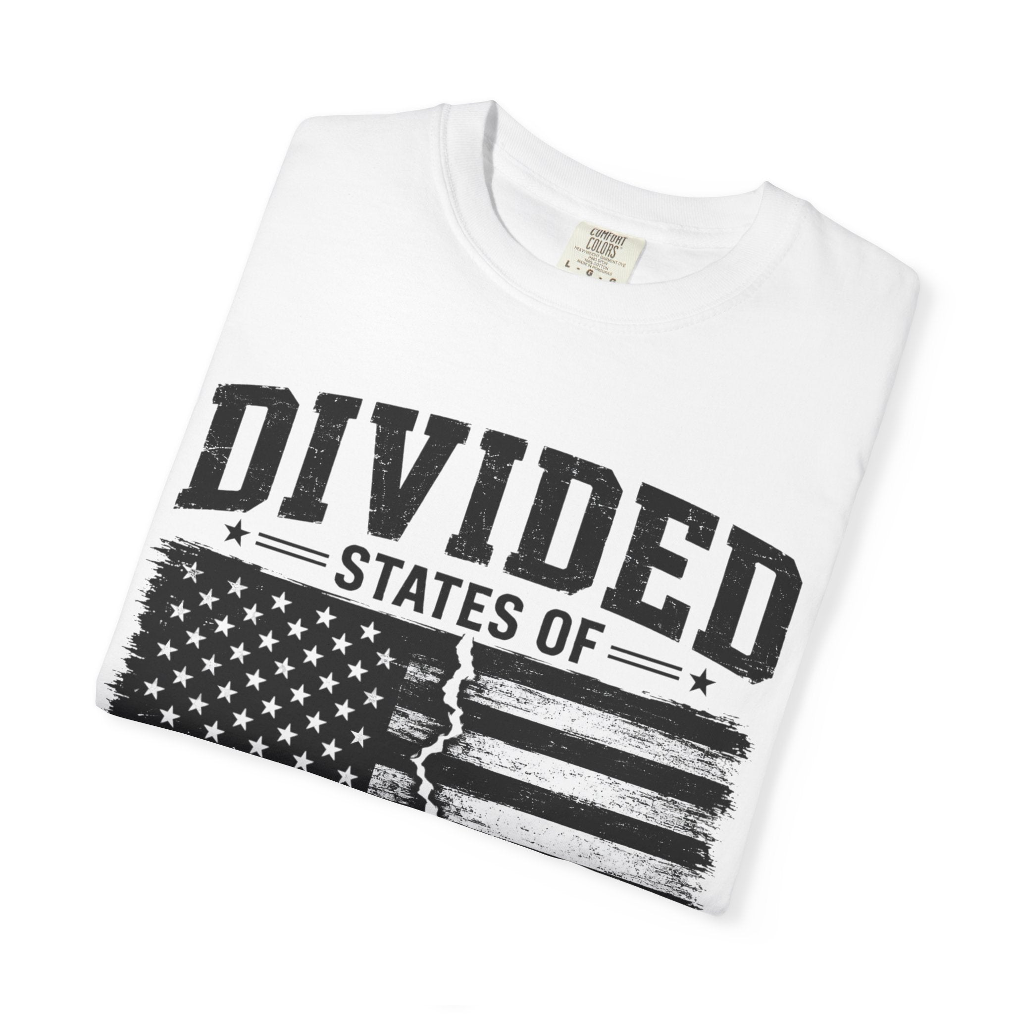 Divided States of America T-Shirt — Distressed Flag Political Graphic Tee