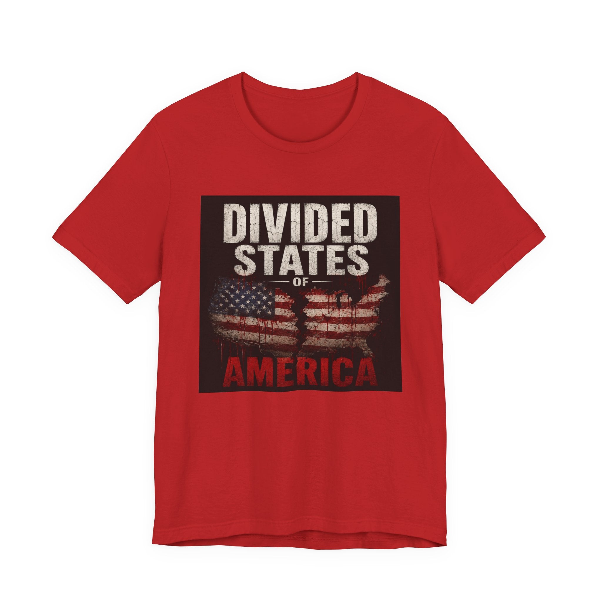 Divided States America Graphic Tee — Political Statement T-Shirt
