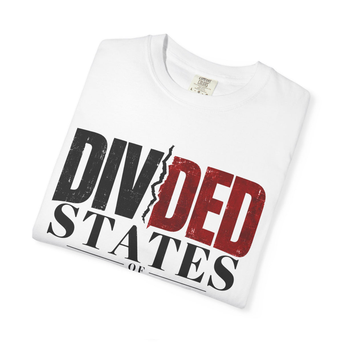 Divided States of America T-Shirt