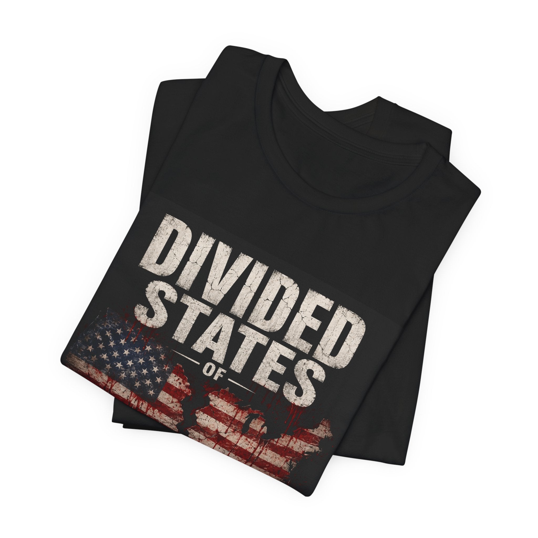 Divided States America Graphic Tee — Political Statement T-Shirt