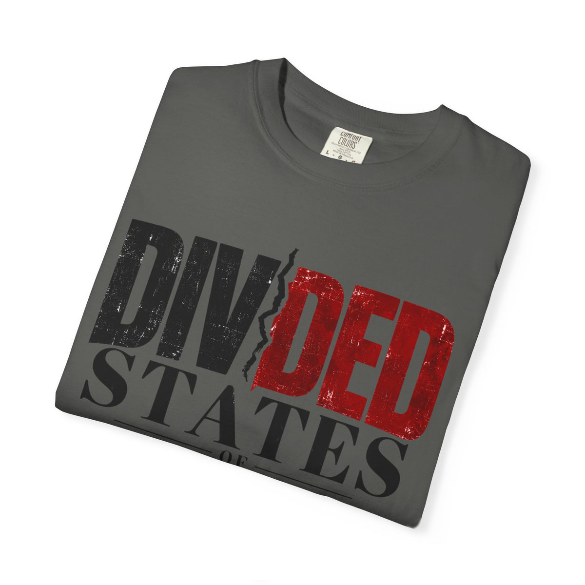 Divided States of America T-Shirt