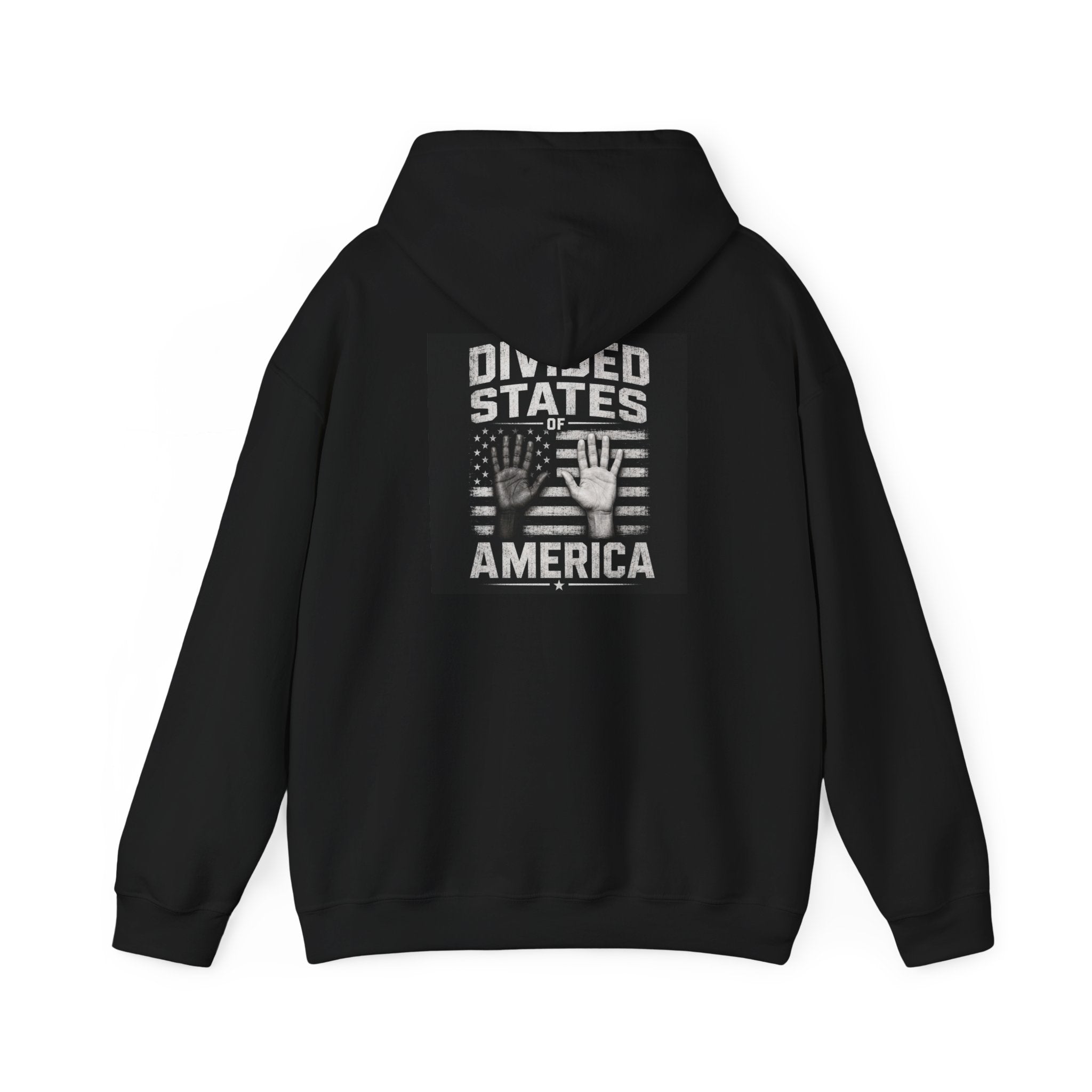 DSA Hoodie — Divided States of America Protest Graphic Hooded Sweatshirt