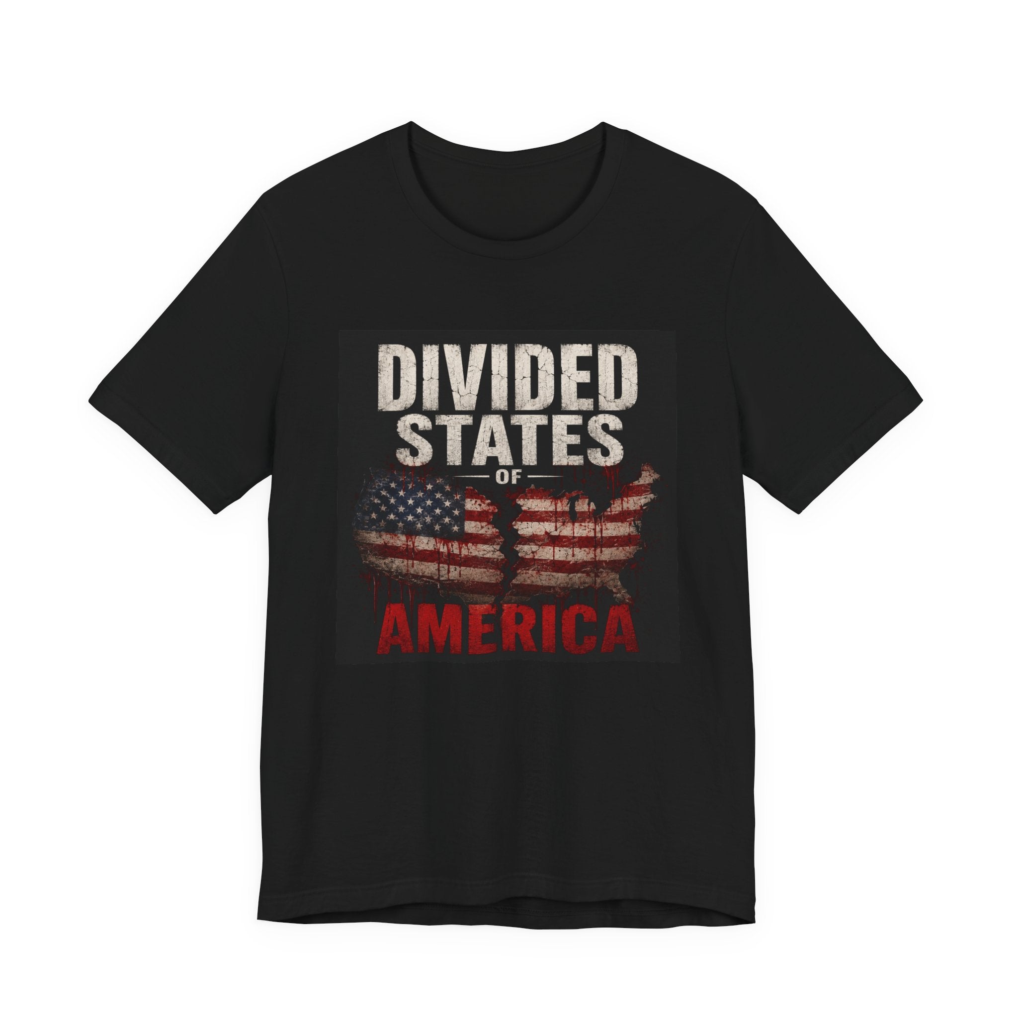 Divided States America Graphic Tee — Political Statement T-Shirt