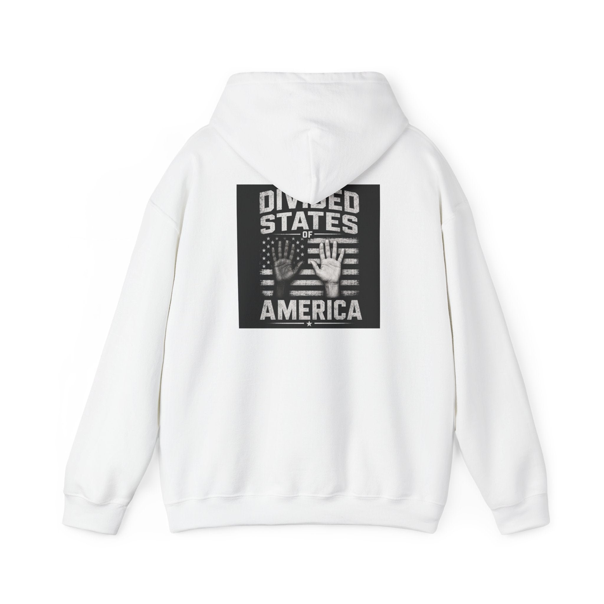 DSA Hoodie — Divided States of America Protest Graphic Hooded Sweatshirt