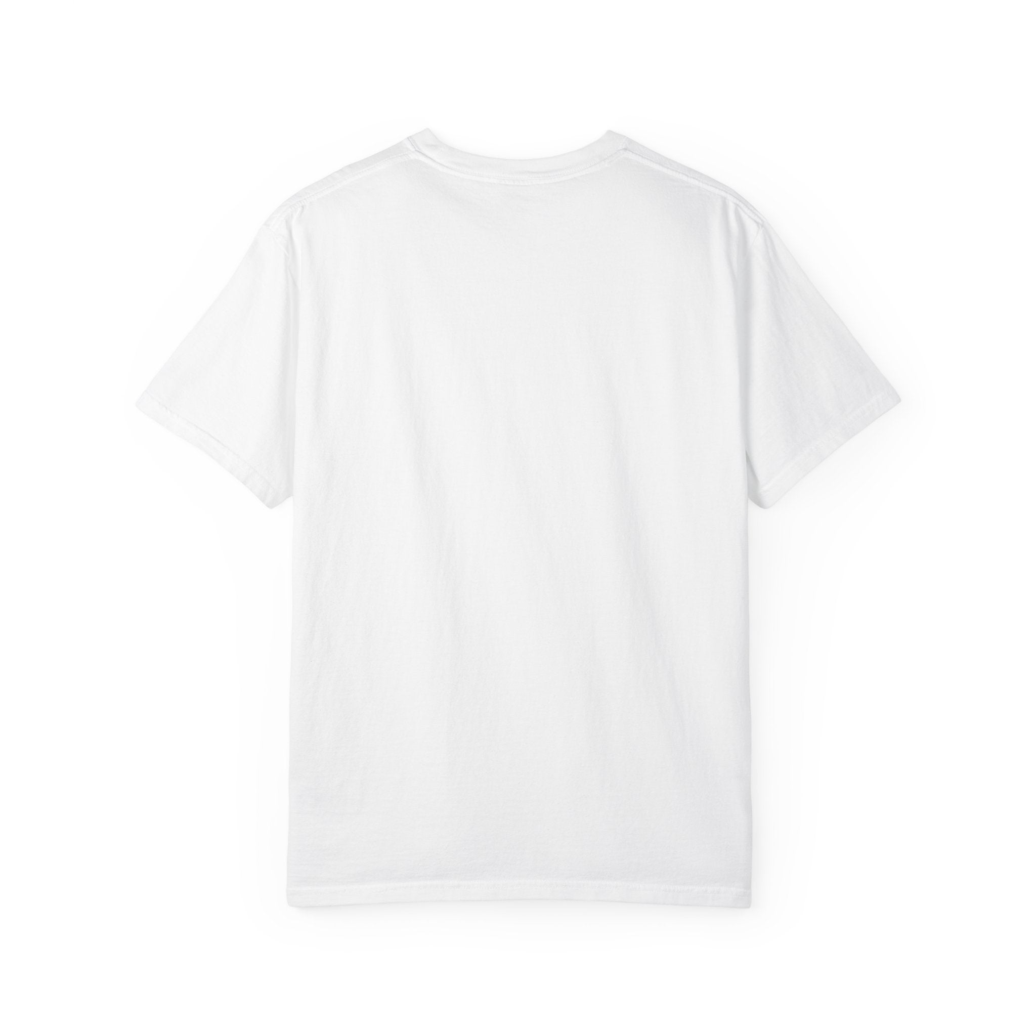 Divided States of America T-Shirt — Distressed Flag Political Graphic Tee